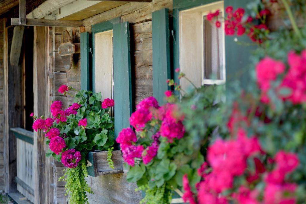 Apartmán Alpenresidenz Unterrainer Ellmau Exteriér fotografie